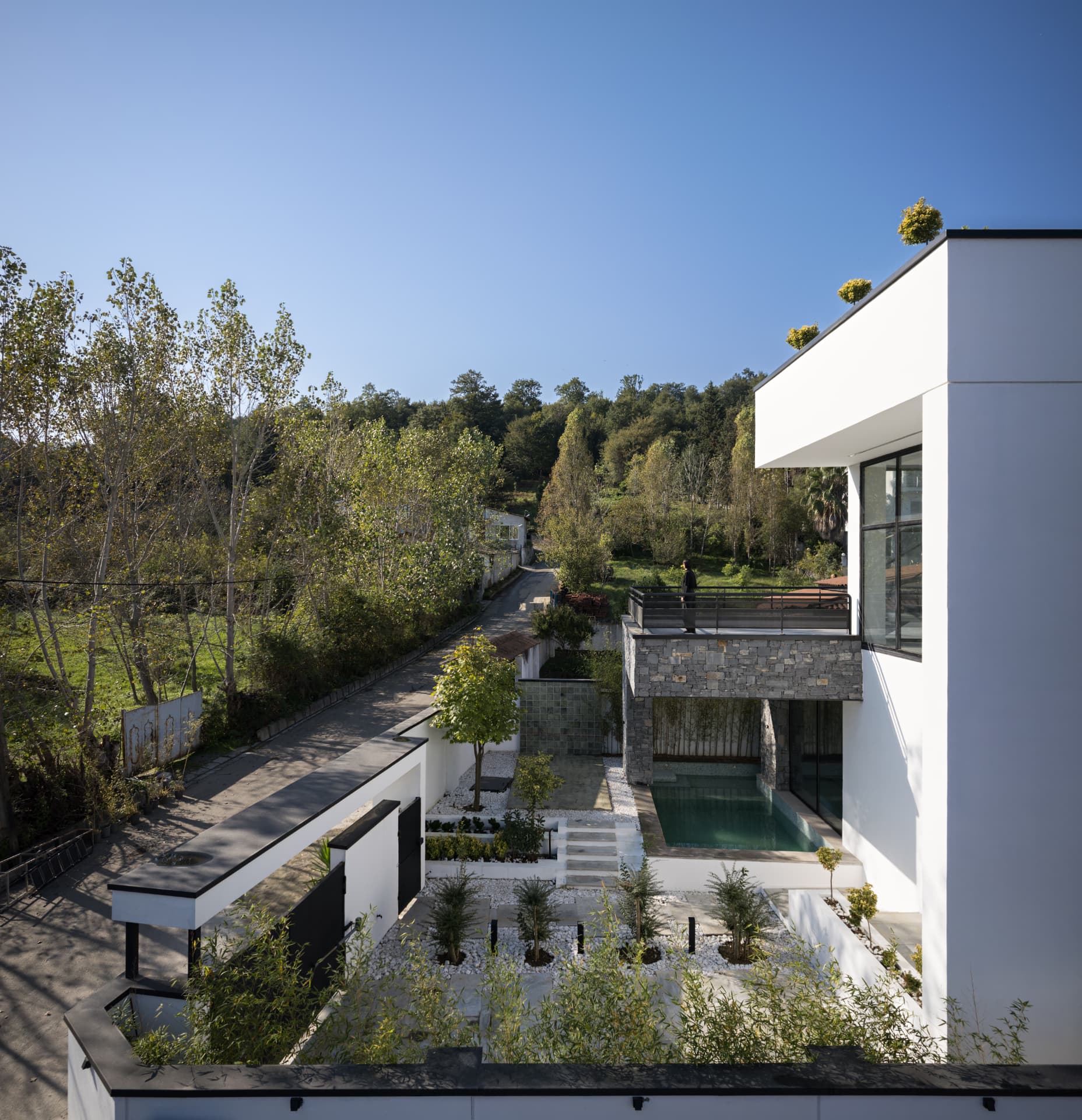 Forest View