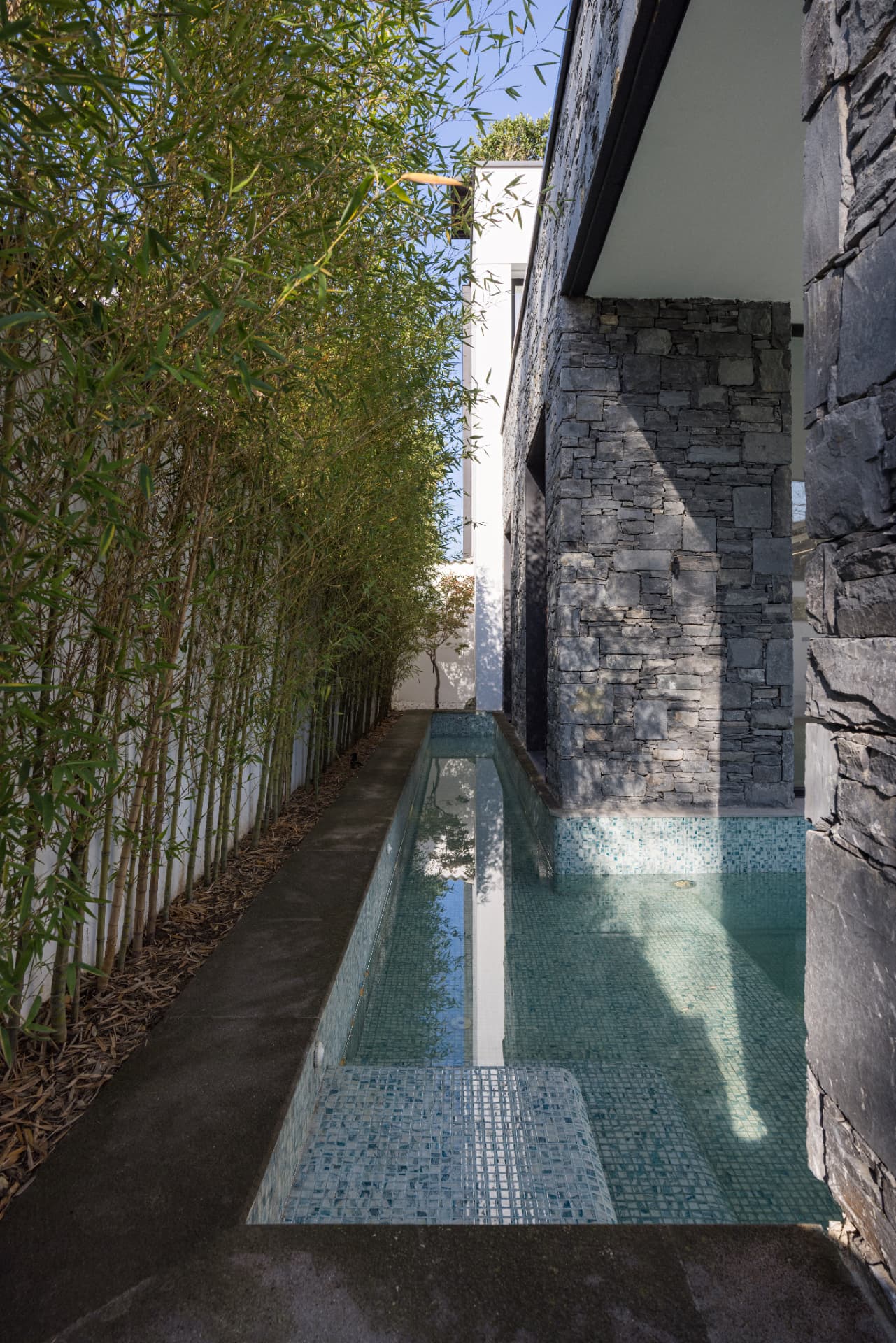 Reflecting pool, bamboo edge